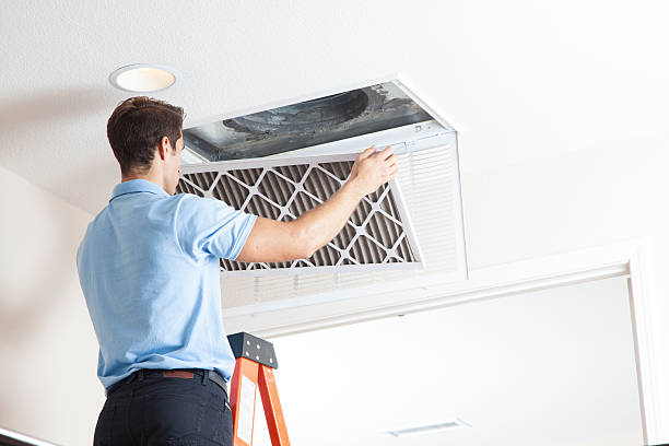 Best Air Filters and Purifiers in Meadowlakes, TX